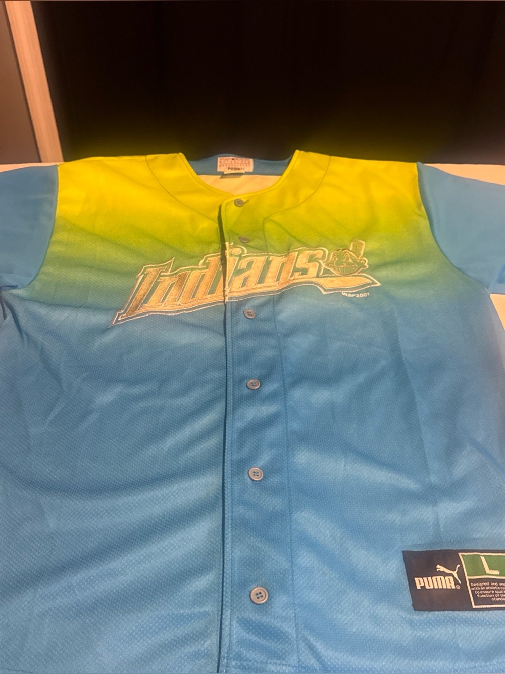 Vintage Large Puma Blue/green/yellow Cleveland Indians Jersey